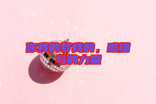 你我的夢我的,感描寫的力量