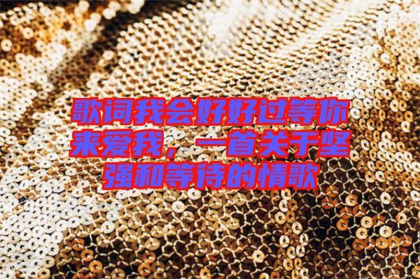 歌詞我會(huì)好好過(guò)等你來(lái)愛(ài)我,一首關(guān)于堅(jiān)強(qiáng)和等待的情歌