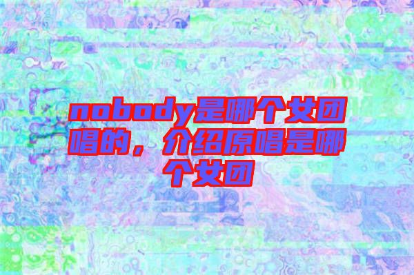 nobody是哪個女團唱的,介紹原唱是哪個女團