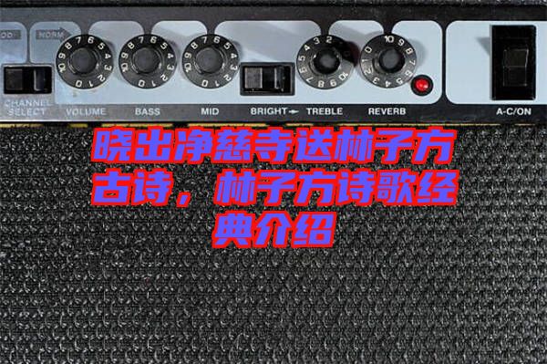 曉出凈慈寺送林子方古詩,林子方詩歌經(jīng)典介紹