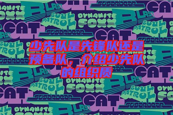 少先隊是先鋒隊還是預(yù)備隊,介紹少先隊的組織質(zhì)