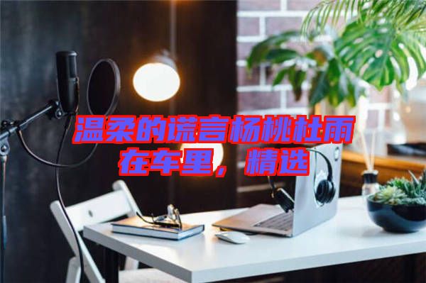 溫柔的謊言楊桃杜雨在車?yán)铮x