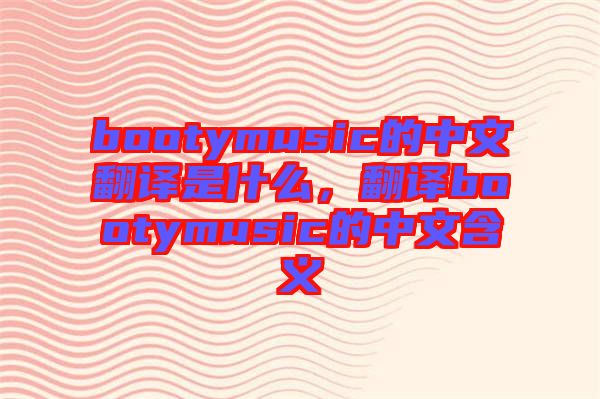 bootymusic的中文翻譯是什么，翻譯bootymusic的中文含義
