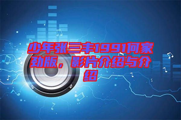 少年張三豐1991何家勁版,影片介紹與介紹