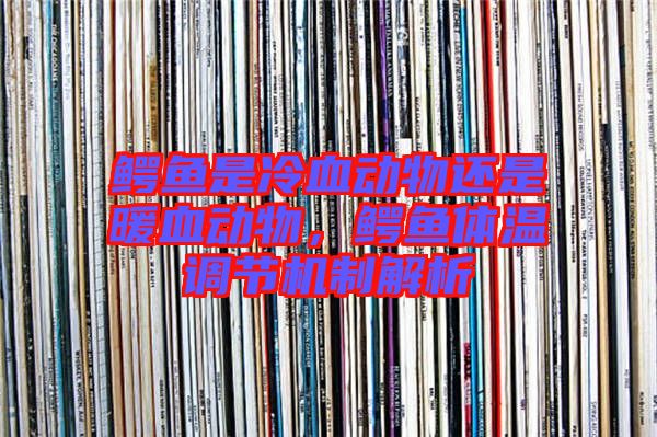 鱷魚是冷血動物還是暖血動物,鱷魚體溫調節機制解析