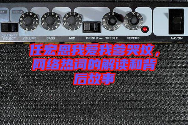 任宏恩我愛我爹哭墳,網絡熱詞的解讀和背后故事