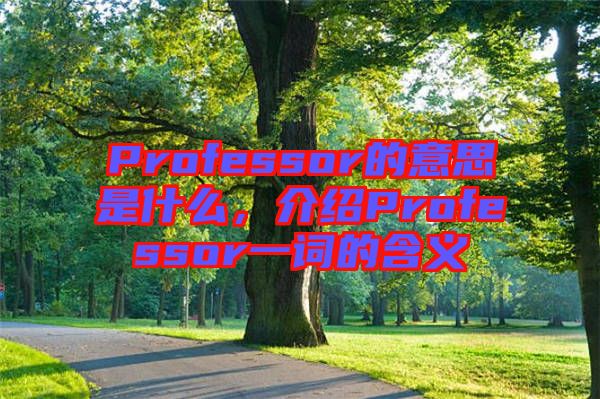 Professor的意思是什么,介紹Professor一詞的含義