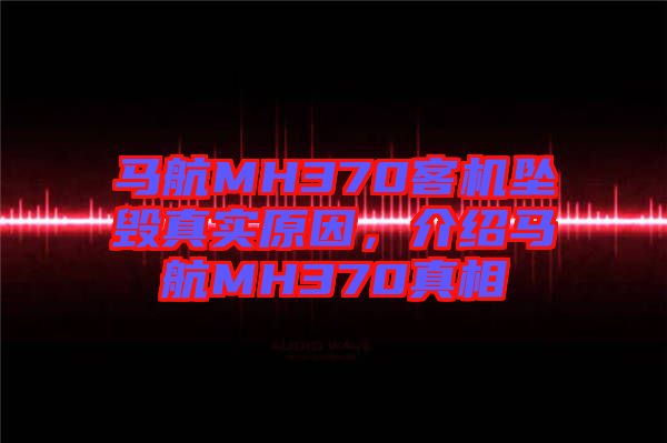 馬航MH370客機墜毀真實原因,介紹馬航MH370真相