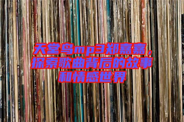 天堂鳥mp3鄭嘉嘉,探索歌曲背后的故事和情感世界