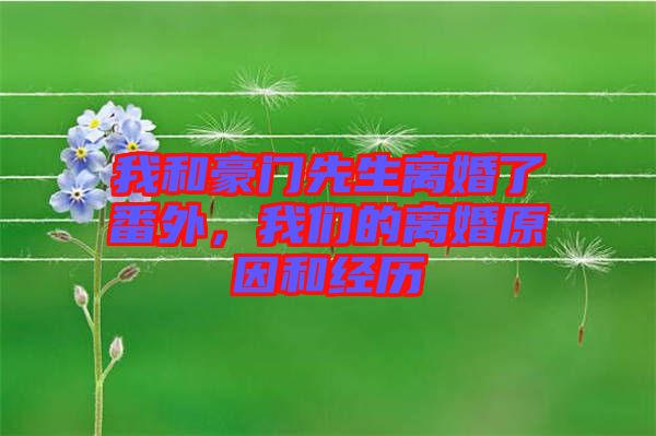 我和豪門先生離婚了番外,我們的離婚原因和經(jīng)歷