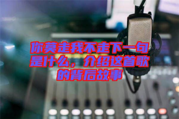 你莫走我不走下一句是什么,介紹這首歌的背后故事