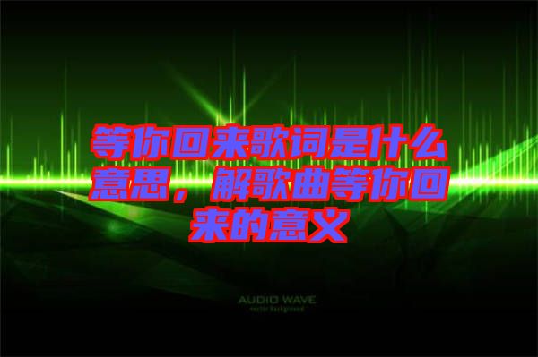 等你回來歌詞是什么意思,解歌曲等你回來的意義