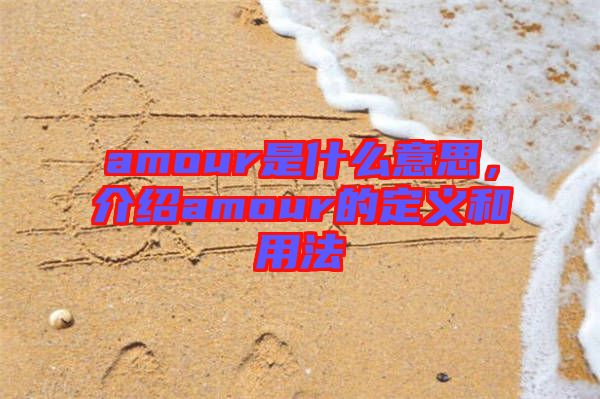 amour是什么意思,介紹amour的定義和用法