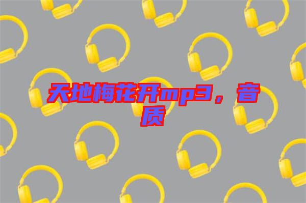 天地梅花開mp3,音質