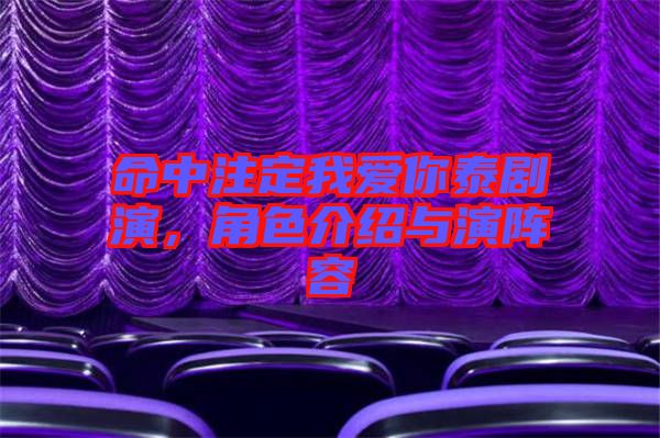 命中注定我愛你泰劇演,角色介紹與演陣容