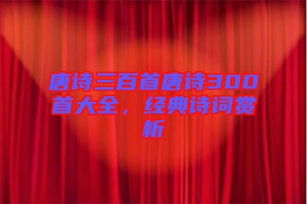 唐詩三百首唐詩300首大全,經(jīng)典詩詞賞析
