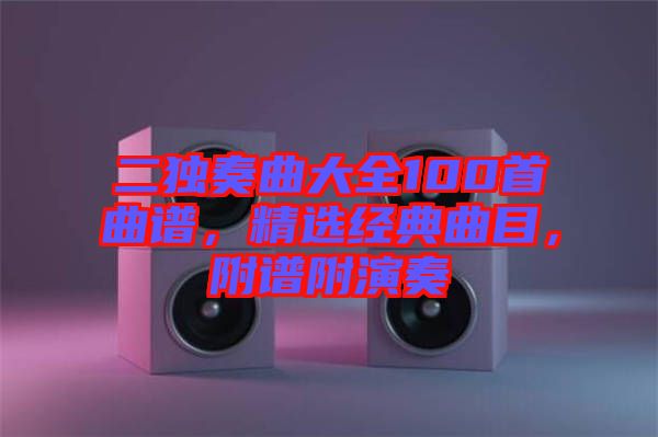 二獨奏曲大全100首曲譜,精選經典曲目,附譜附演奏