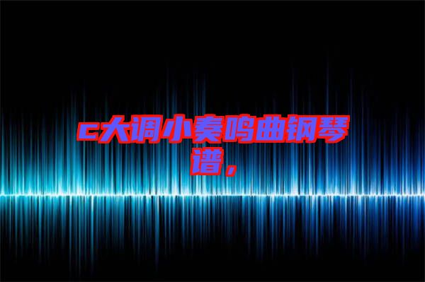 c大調(diào)小奏鳴曲鋼琴譜，