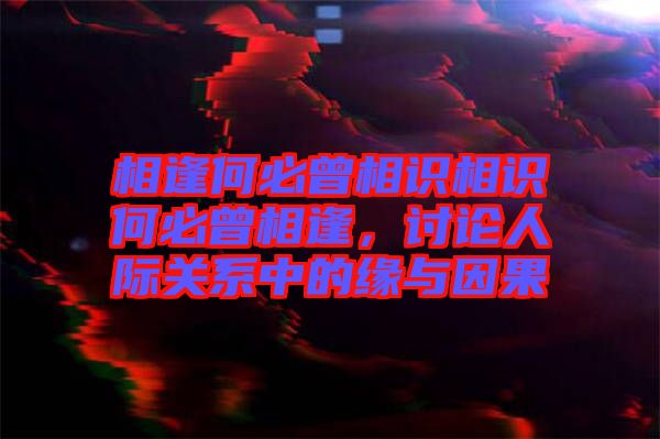 相逢何必曾相識相識何必曾相逢,討論人際關系中的緣與因果