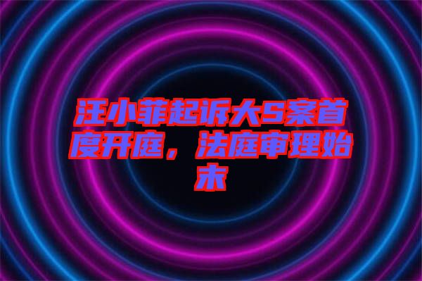 汪小菲起訴大S案首度開庭,法庭審理始末