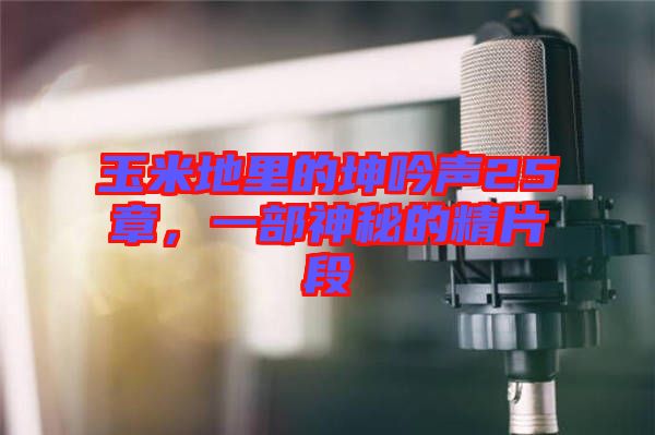 玉米地里的坤吟聲25章,一部神秘的精片段