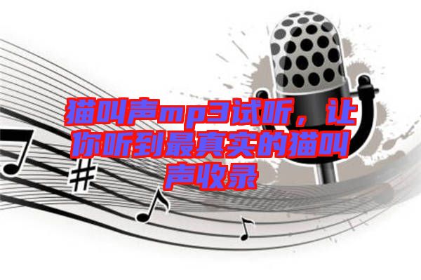 貓叫聲mp3試聽,讓你聽到最真實的貓叫聲收錄