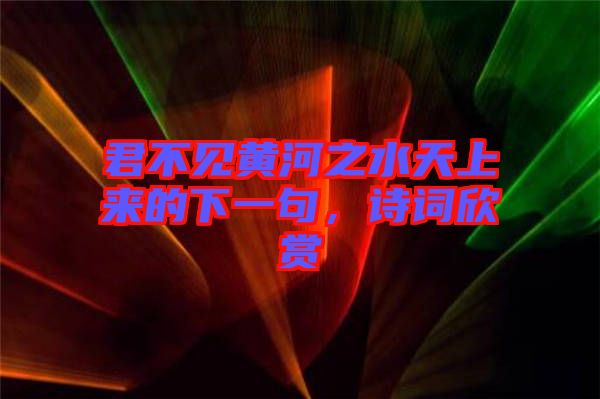 君不見黃河之水天上來的下一句,詩詞欣賞