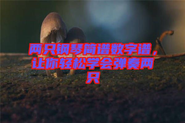 兩只鋼琴簡譜數字譜,讓你輕松學會彈奏兩只