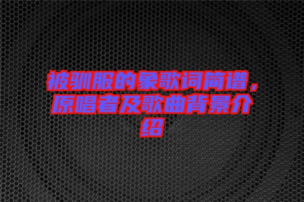 被馴服的象歌詞簡(jiǎn)譜,原唱者及歌曲背景介紹