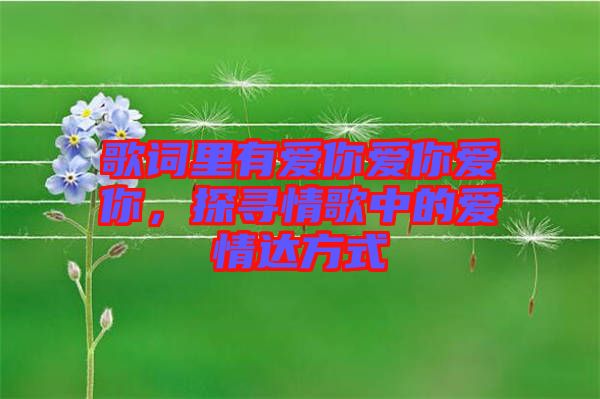 歌詞里有愛你愛你愛你,探尋情歌中的愛情達(dá)方式