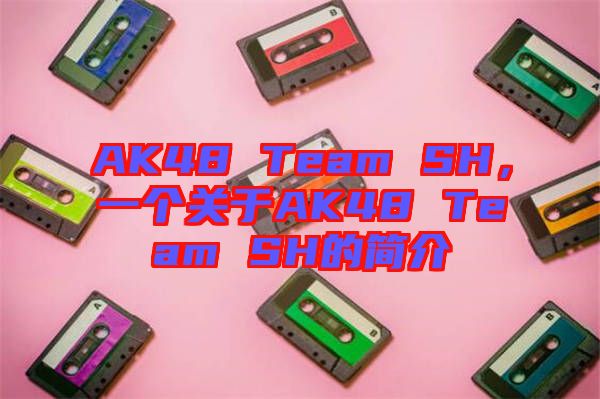 AK48 Team SH,一個(gè)關(guān)于AK48 Team SH的簡(jiǎn)介