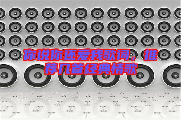 你說(shuō)你還愛(ài)我歌詞，推薦幾首經(jīng)典情歌
