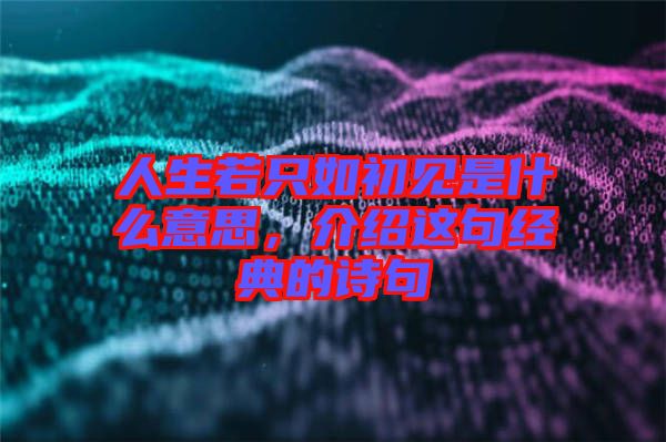 人生若只如初見是什么意思,介紹這句經(jīng)典的詩句