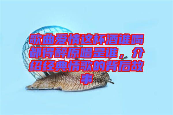 歌曲愛情這杯酒誰喝都得醉原唱是誰,介紹經典情歌的背后故事