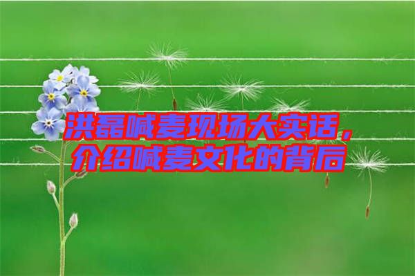 洪磊喊麥現場大實話,介紹喊麥文化的背后