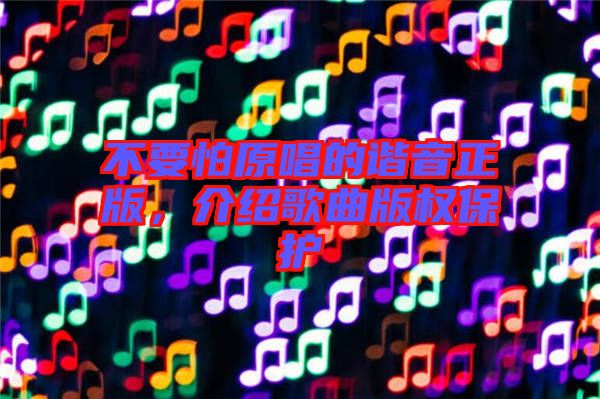 不要怕原唱的諧音正版,介紹歌曲版權(quán)保護(hù)
