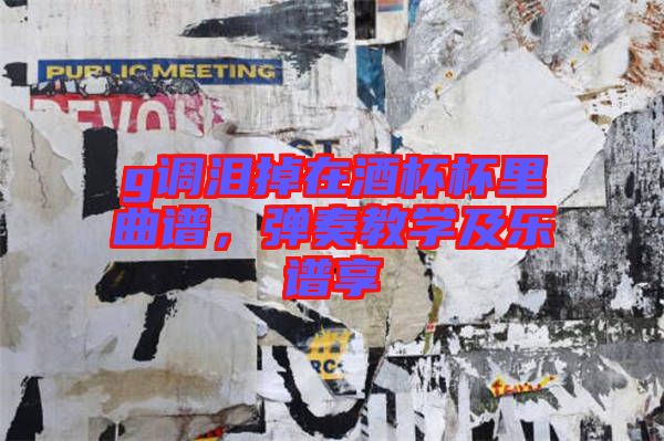 g調淚掉在酒杯杯里曲譜,彈奏教學及樂譜享