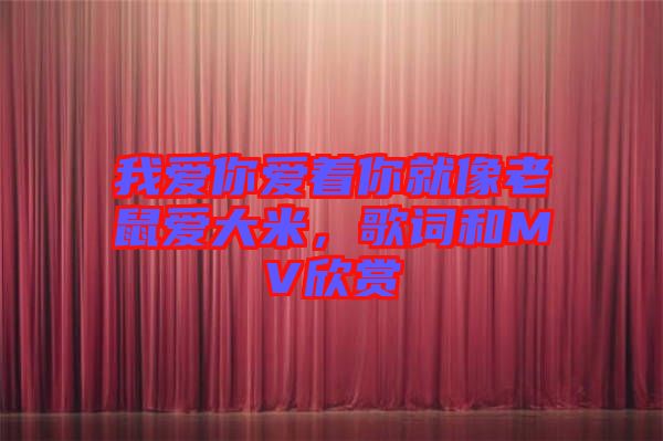 我愛你愛著你就像老鼠愛大米,歌詞和MV欣賞