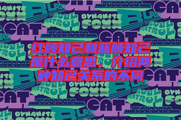 紅顏知己和藍顏知己是什么意思,介紹兩種知己關系的不同