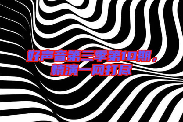 好聲音第三季第10期，精演一網打盡