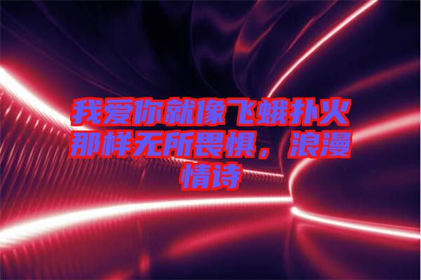我愛你就像飛蛾撲火那樣無所畏懼,浪漫情詩