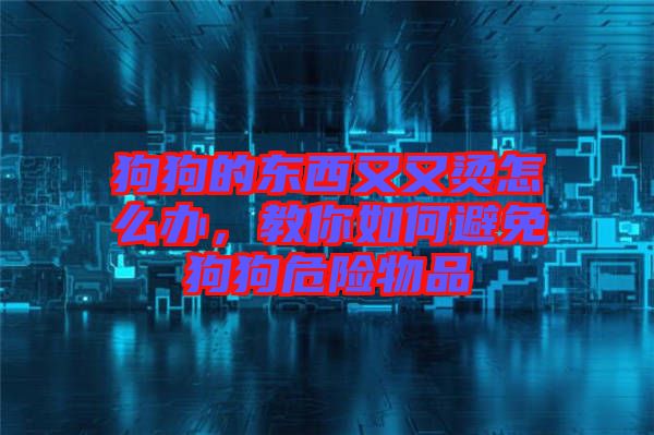 狗狗的東西又又燙怎么辦，教你如何避免狗狗危險物品