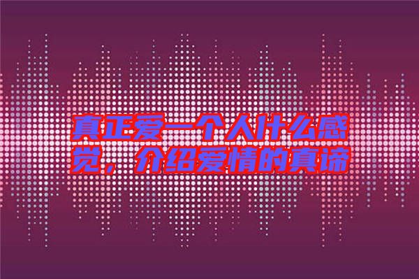 真正愛一個人什么感覺,介紹愛情的真諦