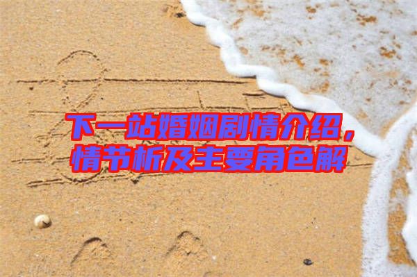 下一站婚姻劇情介紹,情節(jié)析及主要角色解