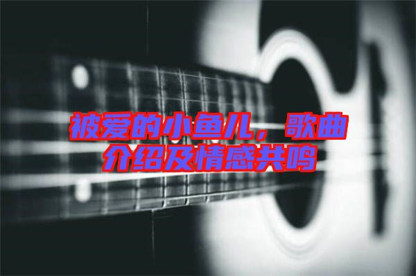 被愛的小魚兒，歌曲介紹及情感共鳴
