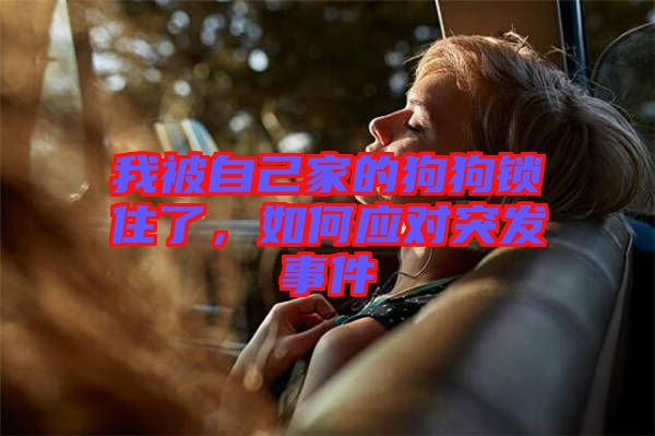 我被自己家的狗狗鎖住了,如何應(yīng)對(duì)突發(fā)事件