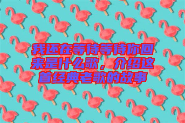 我還在等待等待你回來是什么歌,介紹這首經典老歌的故事