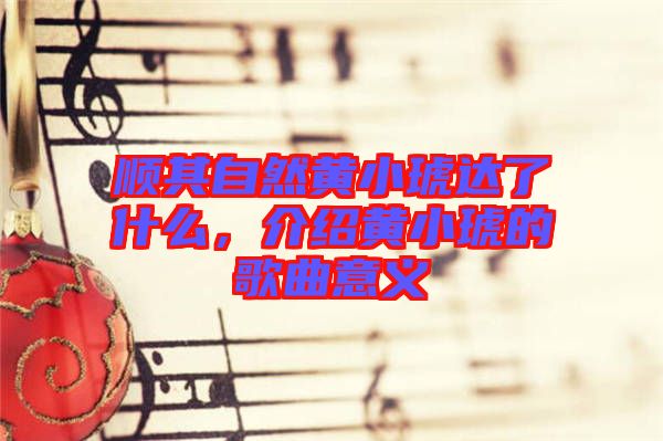 順其自然黃小琥達(dá)了什么,介紹黃小琥的歌曲意義