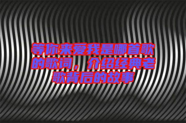 等你來愛我是哪首歌的歌詞,介紹經(jīng)典老歌背后的故事