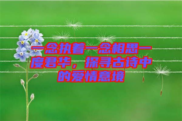 一念執著一念相思一度君華,探尋古詩中的愛情意境